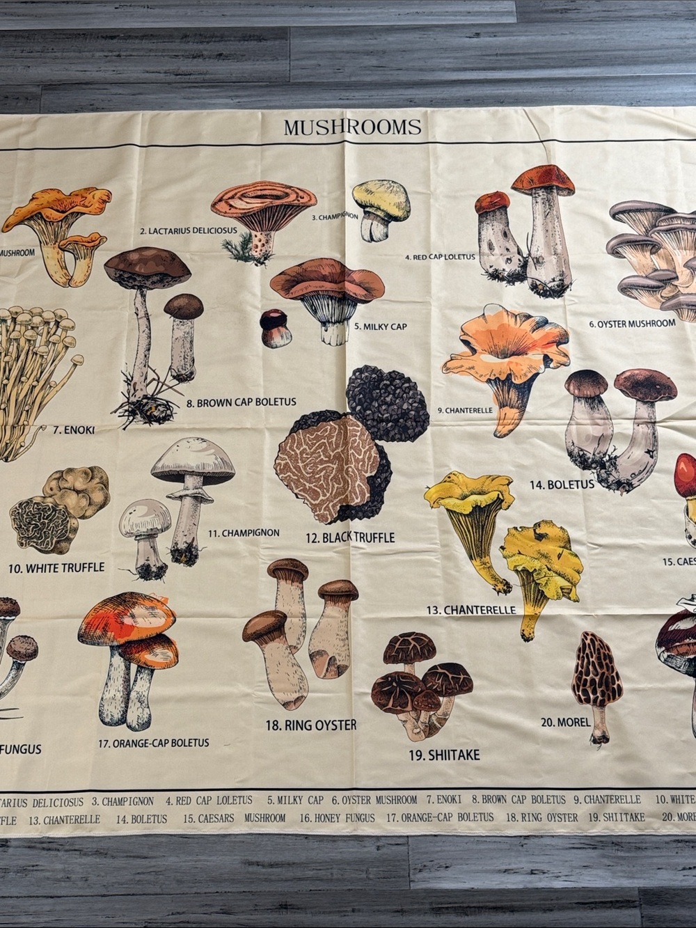 MUSHROOM BOTANICAL FABRIC WALL HANGING 58.5” x 50” COTTAGECORE FUNGI - Picture 6 of 11